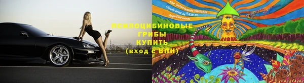 прущие грибы Алексеевка