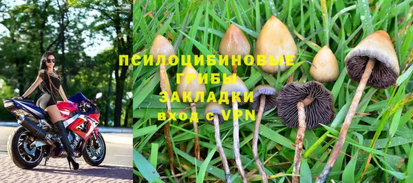 винт Алексин