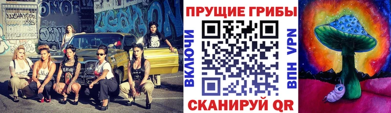 ссылка на мегу ONION  Руза  Галлюциногенные грибы Cubensis 